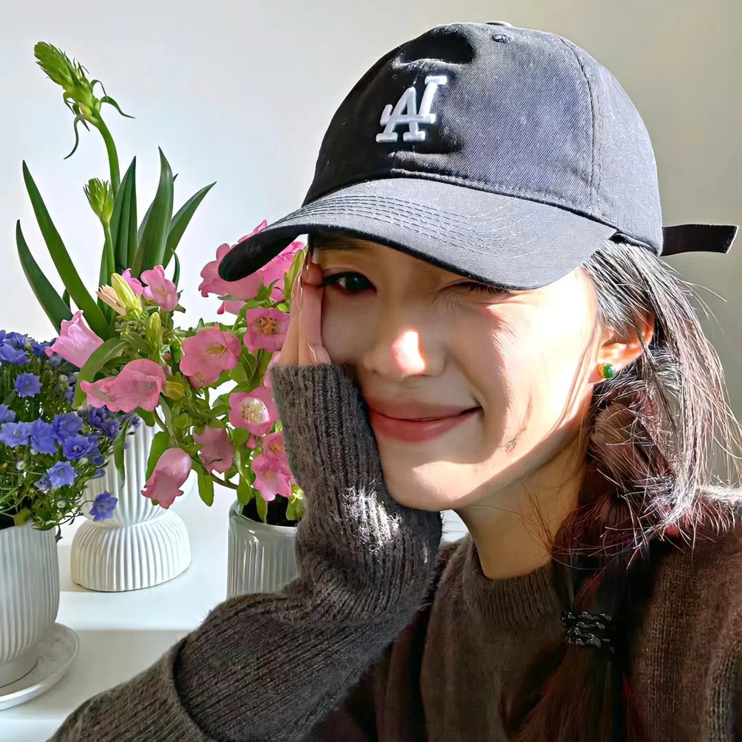 成凰录